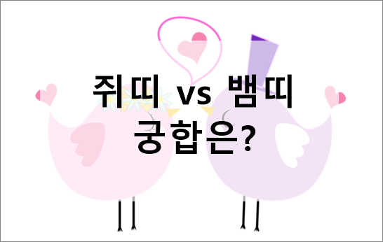 쥐띠-뱀띠-궁합