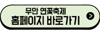 2025년 6월 전라도 축제, 행사(영광, 목포, 무안, 강진)