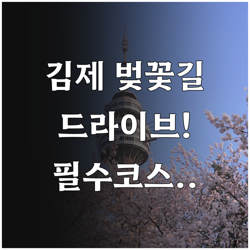 김제 벚꽃 길 드라이브 코스와 구간별..