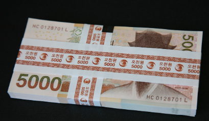 진안군-민생지원금