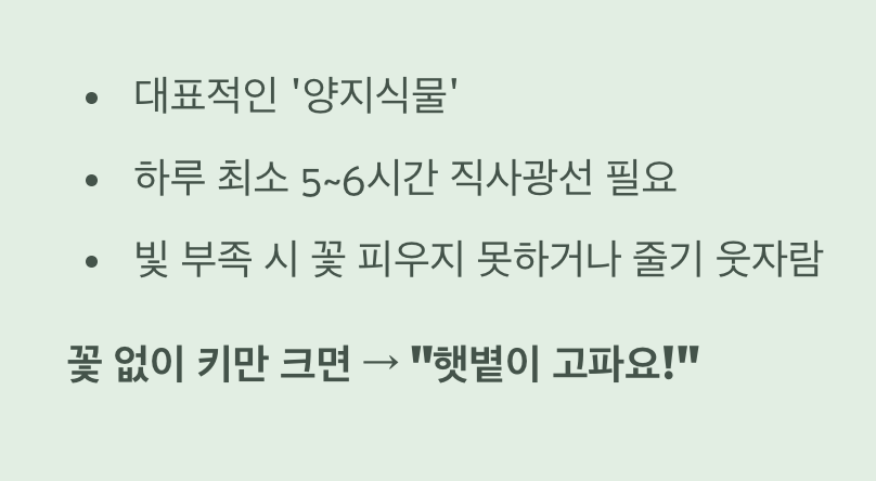최고의 명당&amp;#44; &amp;#39;햇볕&amp;#39;과 &amp;#39;바람&amp;#39;