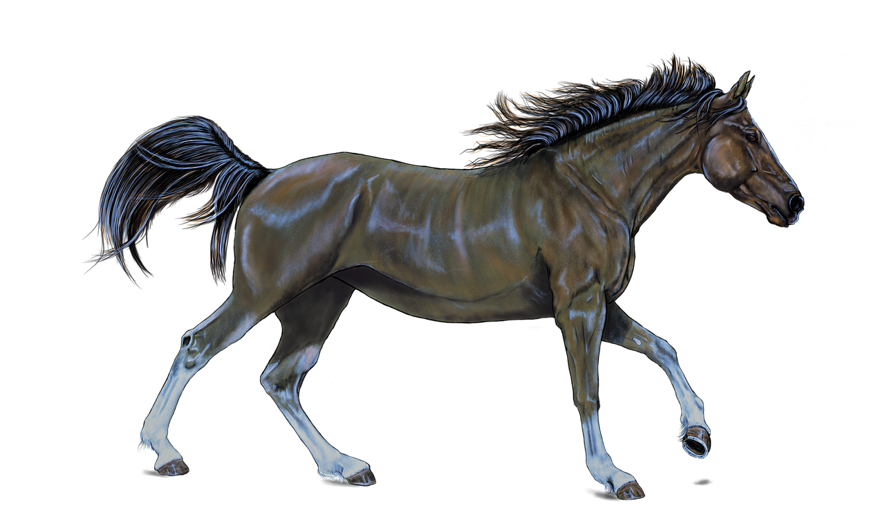 초보자 캐릭터 디자인