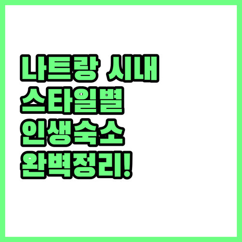 나트랑 시내 중심가 호텔 추천 여행 ..