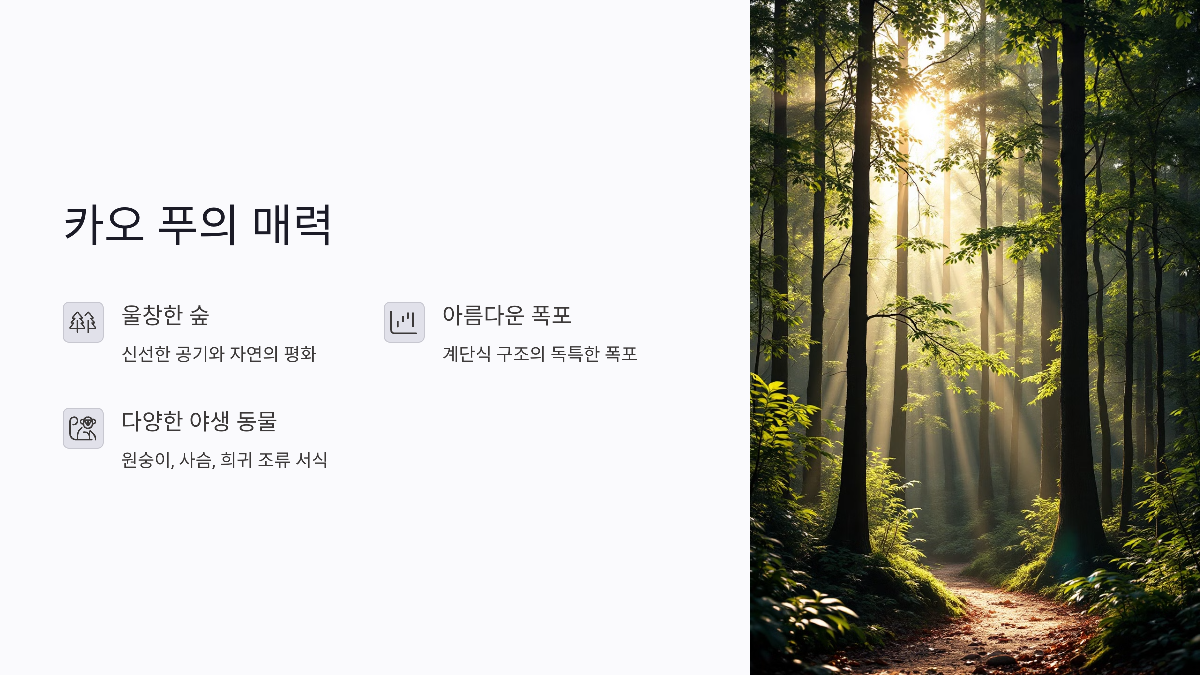 독특한 폭포에서의 힐링