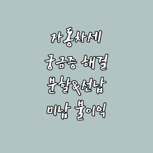 자동차세 궁금증 해결: 분할 납부, 