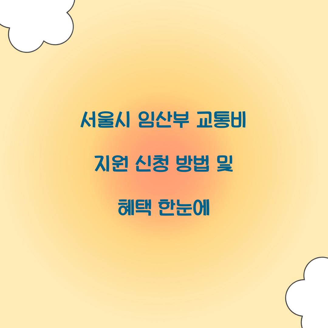 서울시 임산부 교통비 지원