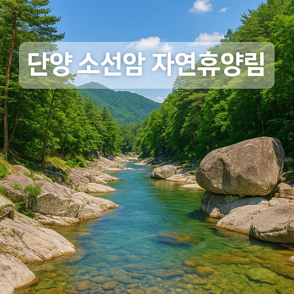 단양 소선암 자연휴양림