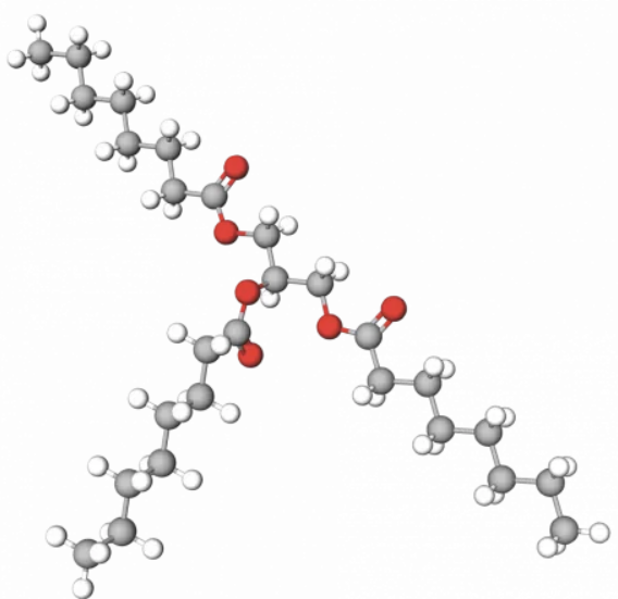 caprylic triglyceride, 카프릴산 중성지방