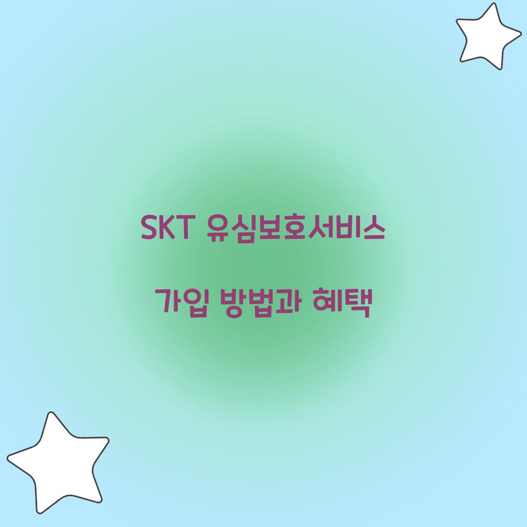 SKT 유심보호서비스