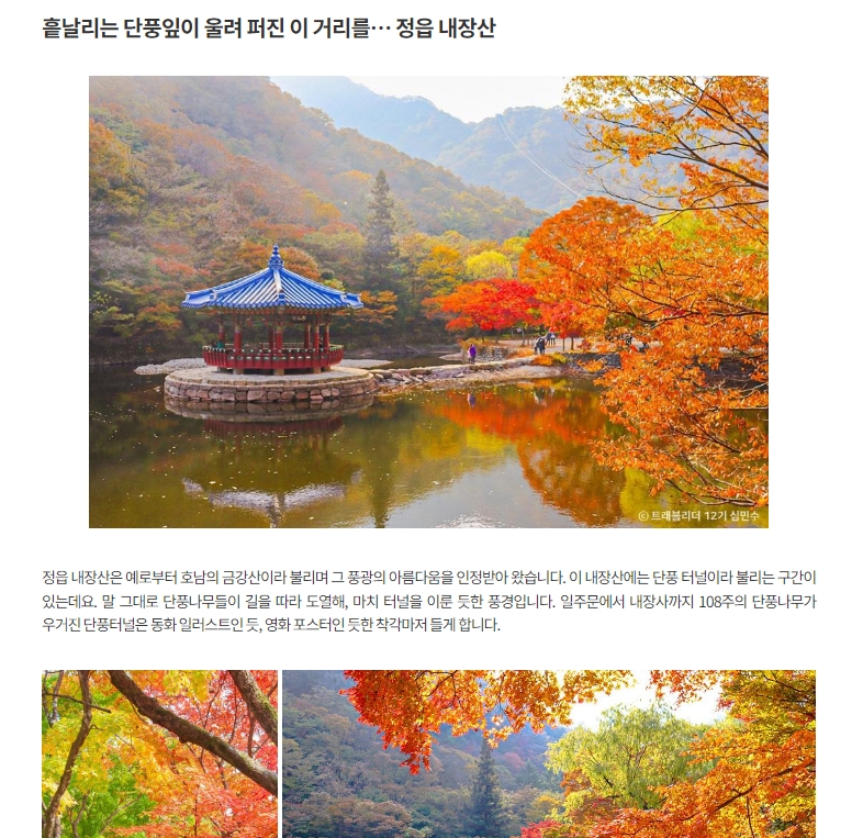 정읍 내장산의 아름다운 가을 단풍 풍경