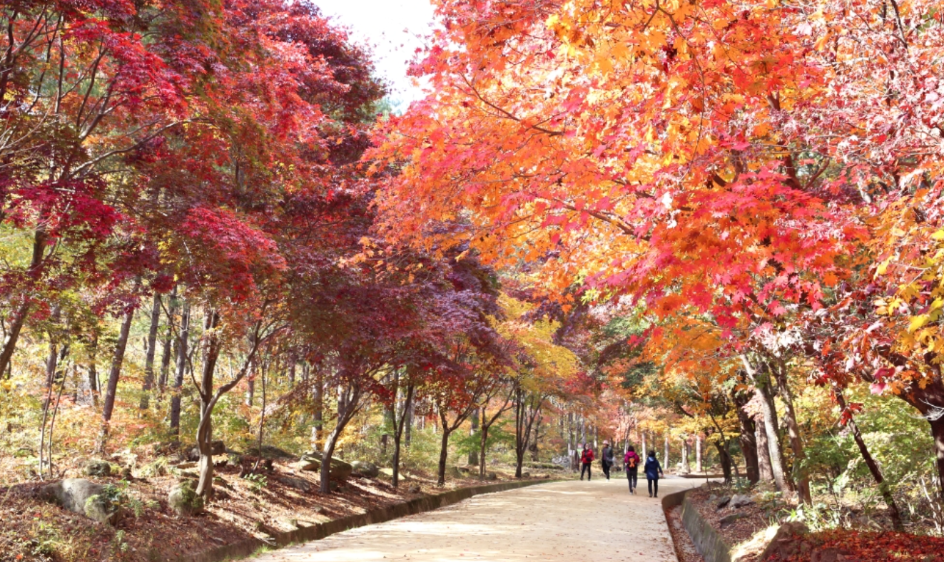 문경 가볼만한곳 베스트10