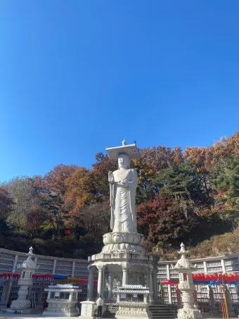 서울 대표 사찰 5곳을 소개하는 종합 여행 가이드_10