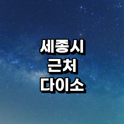 세종시 종합생활용품 다이소