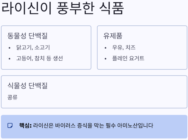 라이신