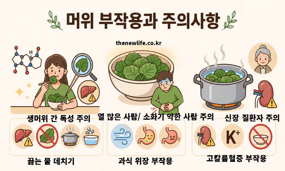 머위 효능 부작용