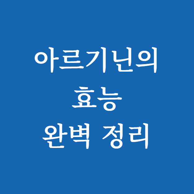 아르기닌의 효능