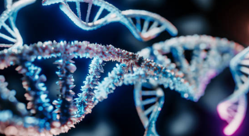 아데노 바이러스