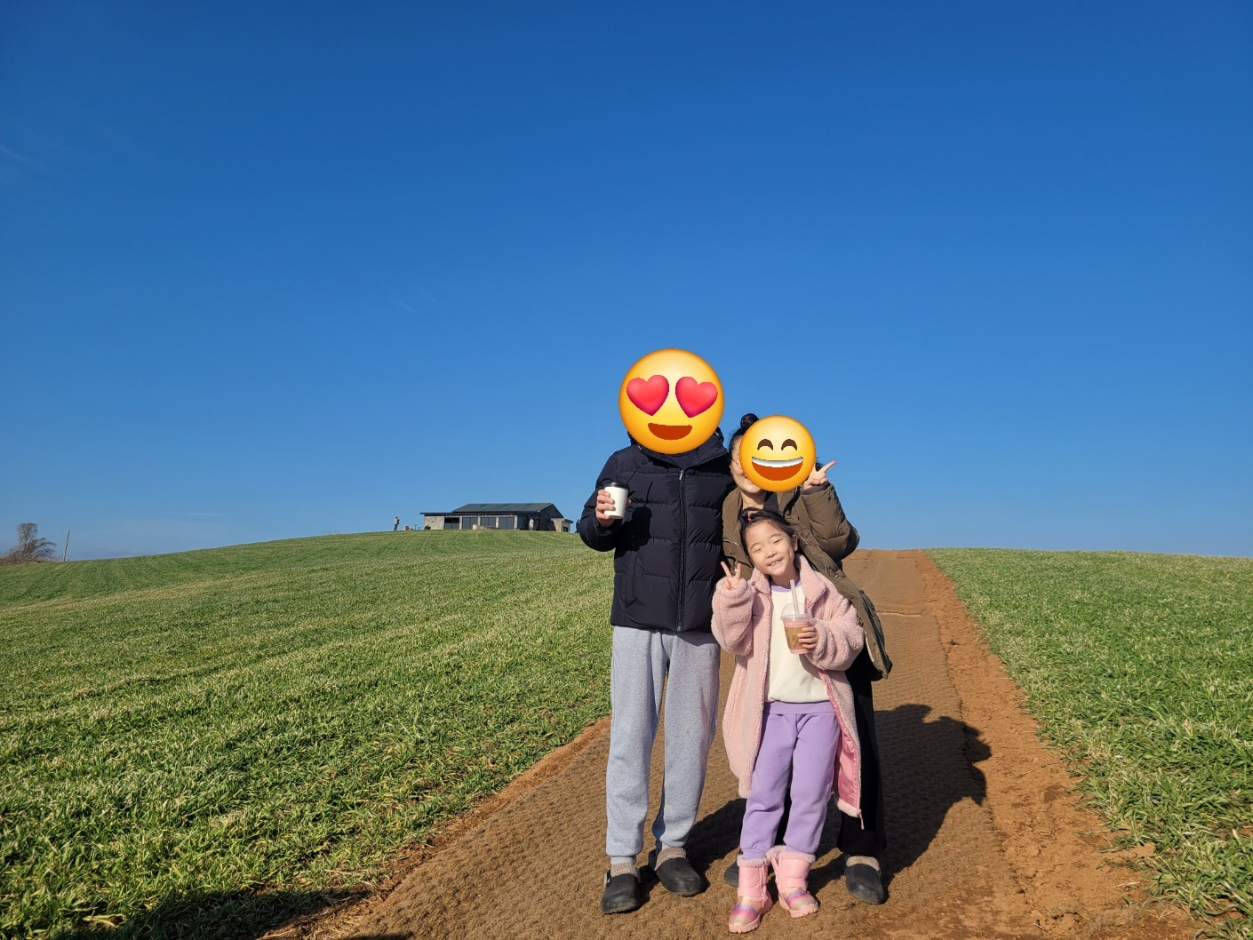 보령 청보리밭(천북 카페)&amp;#44; 청보리창고