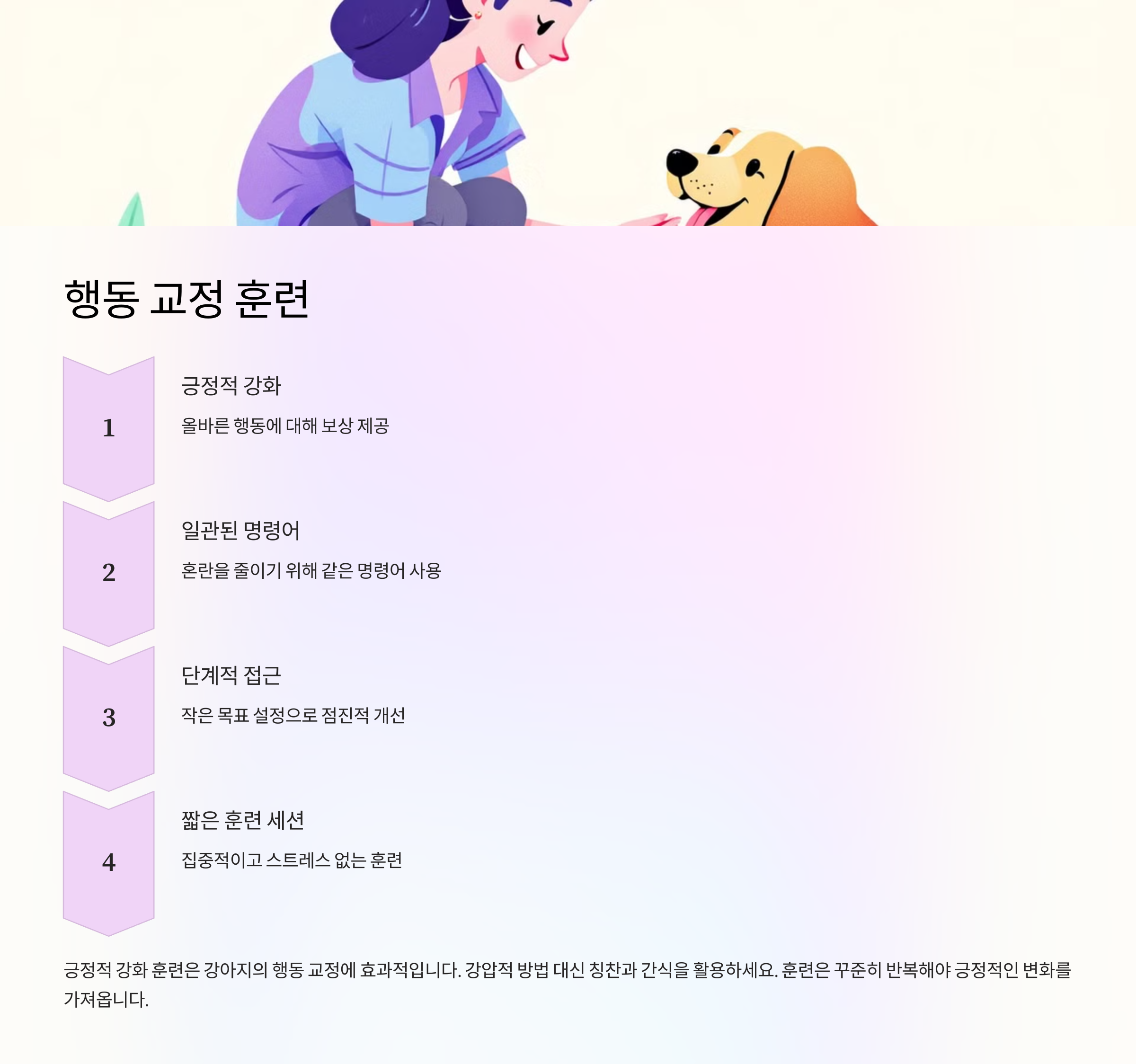 행동 교정 훈련