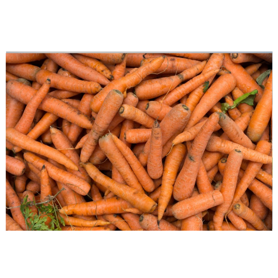 용종과 관련된 사진입니다.