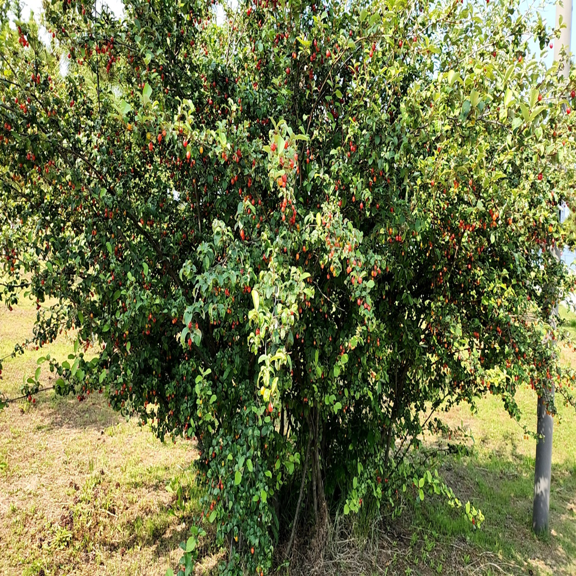 만병의 병 스트레스