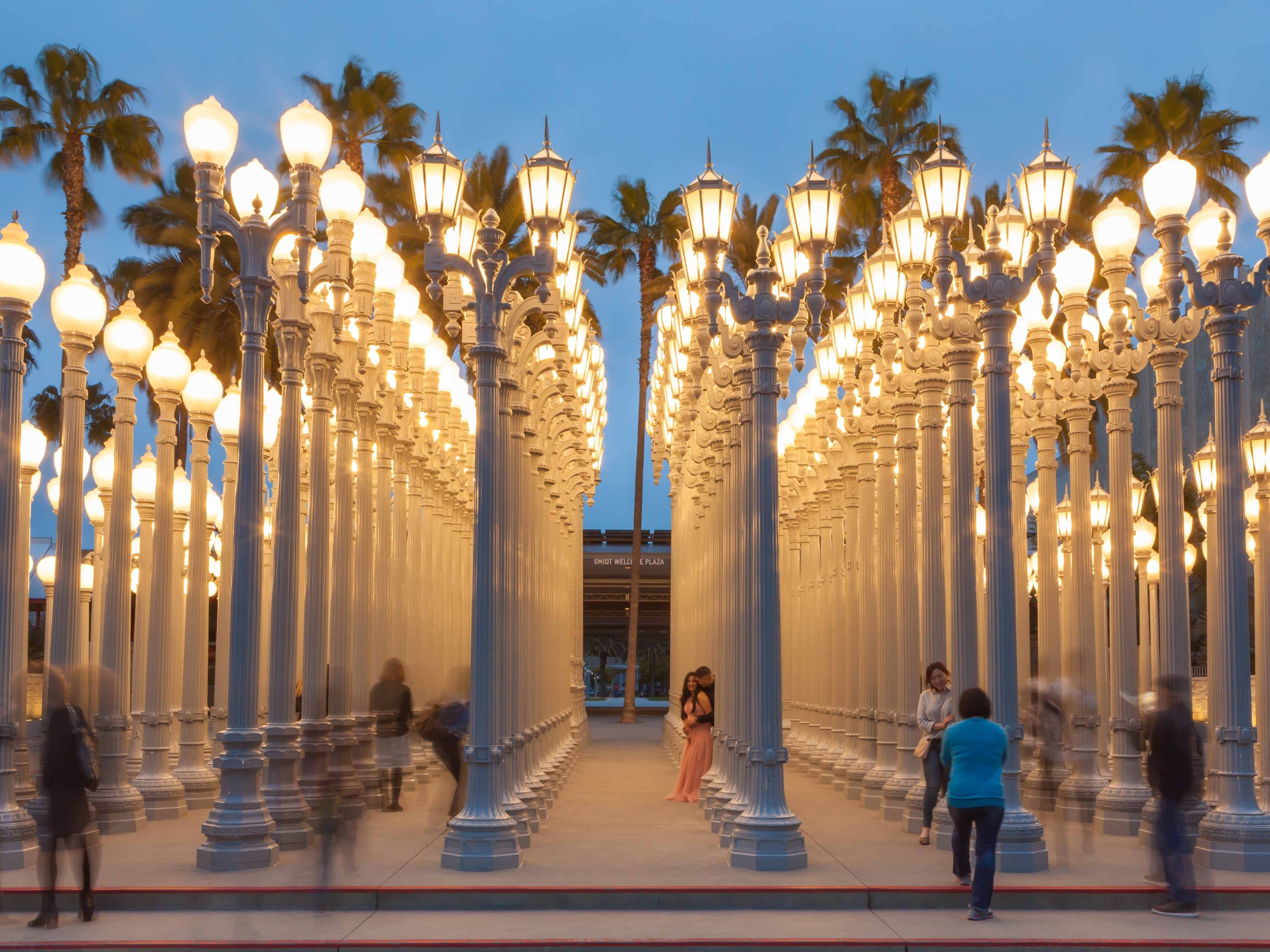 LACMA (LA 카운티 미술관) 관련 사진