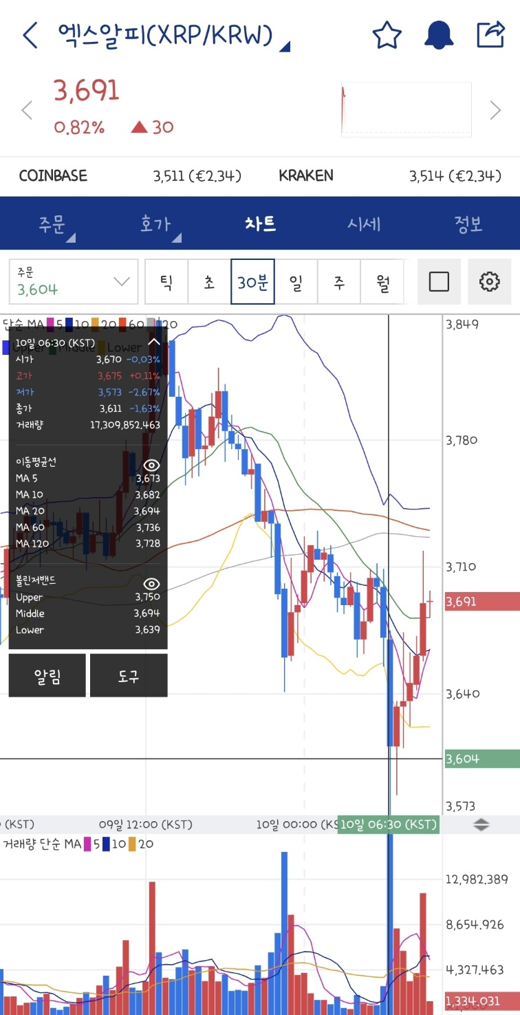 엑스알피시세 (리플시세)