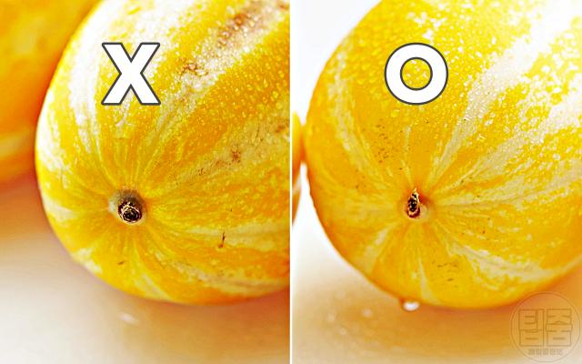 참외 맛있는거 고르기, 참외 꼭지,팁줌