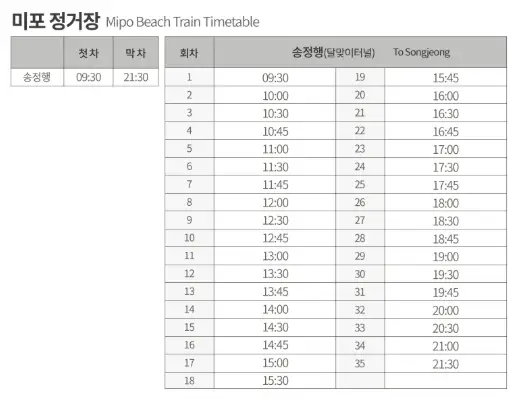 🚂 해운대 해변열차 소개와 특징