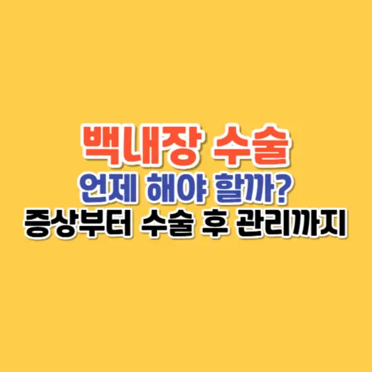 백내장 수술, 언제 해야 할까? 증상부터 수술 후 관리까지