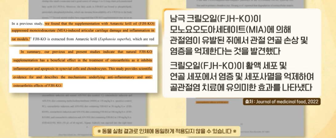 크릴오일 효능