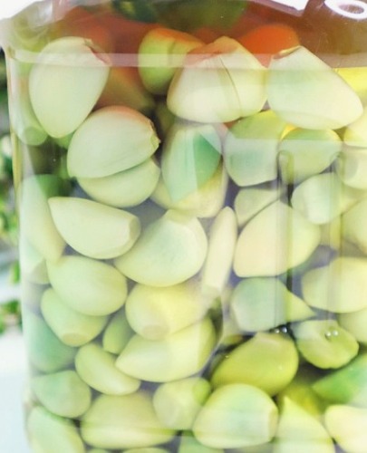 마늘 장아찌 녹변 현상