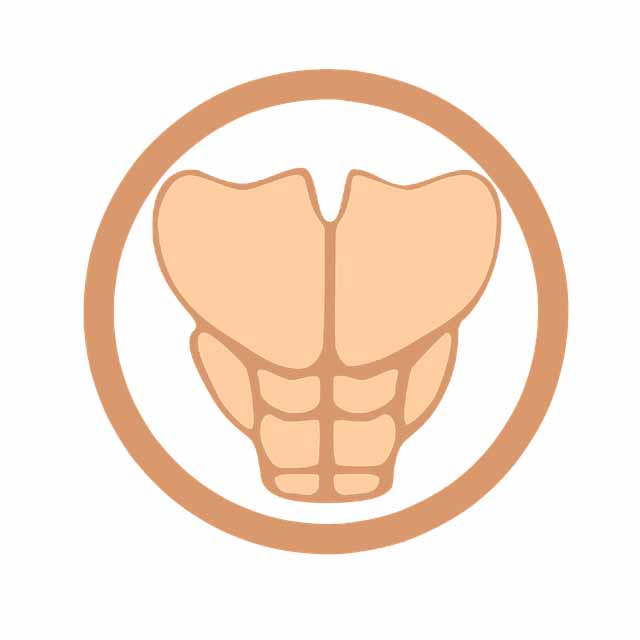 윗몸일으키기 복근 식스팩