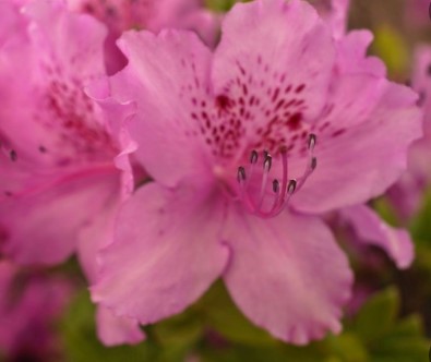 봄 여행지 추천