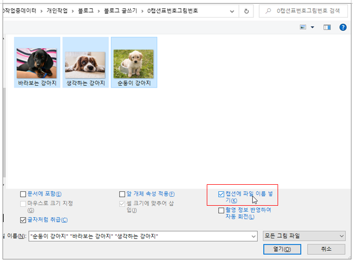 한글 캡션 설정 표번호 그림번호