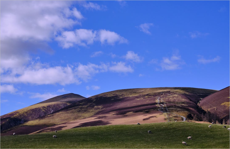 국군복지포털 와몰, 군인과 가족을 위한 맞춤형 복지서비스