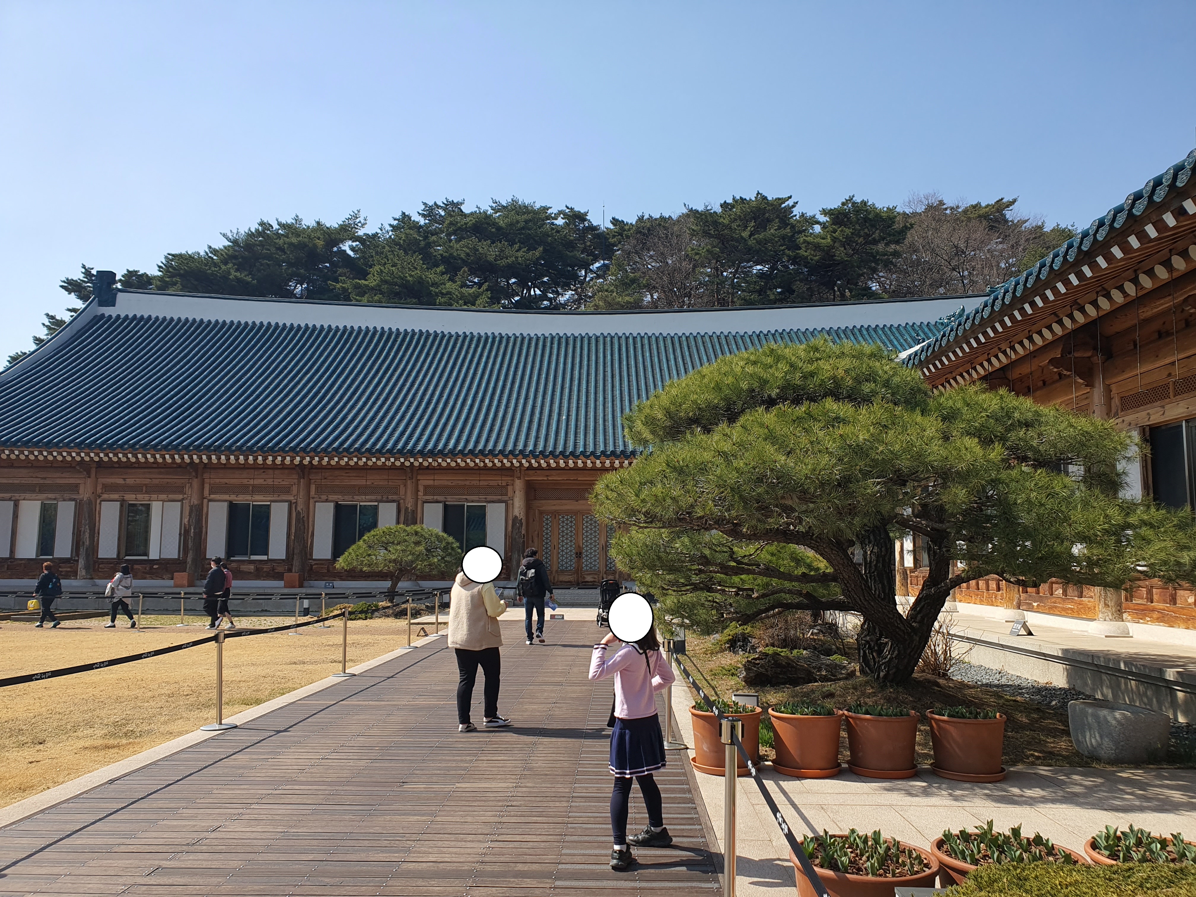 청와대