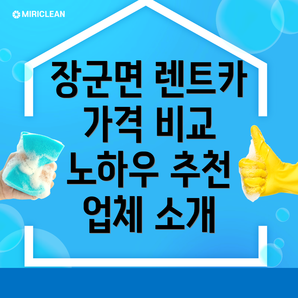 세종시 장군면 단기렌트카