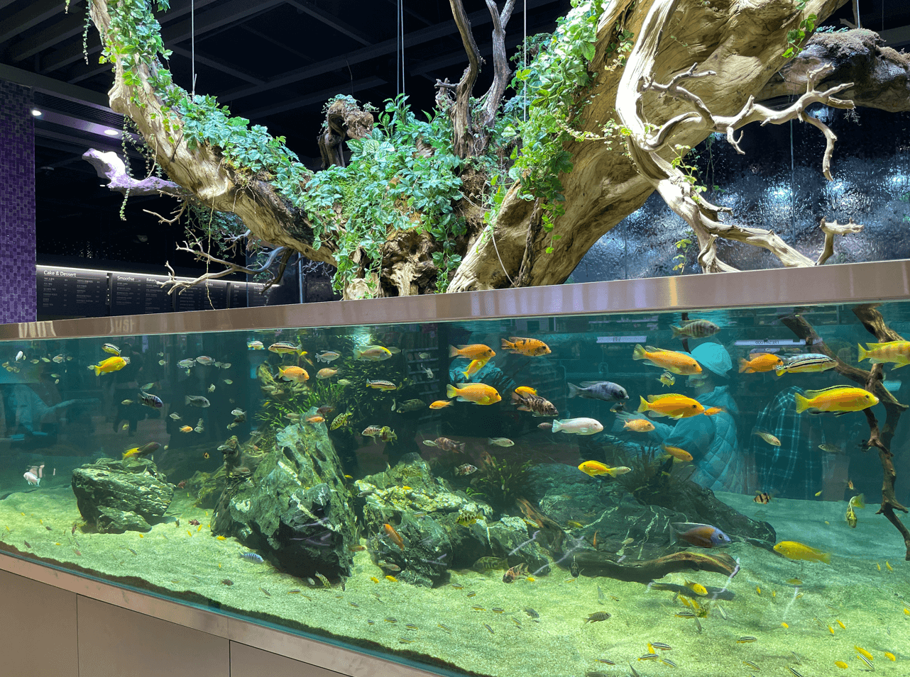 잠심-아쿠아가든