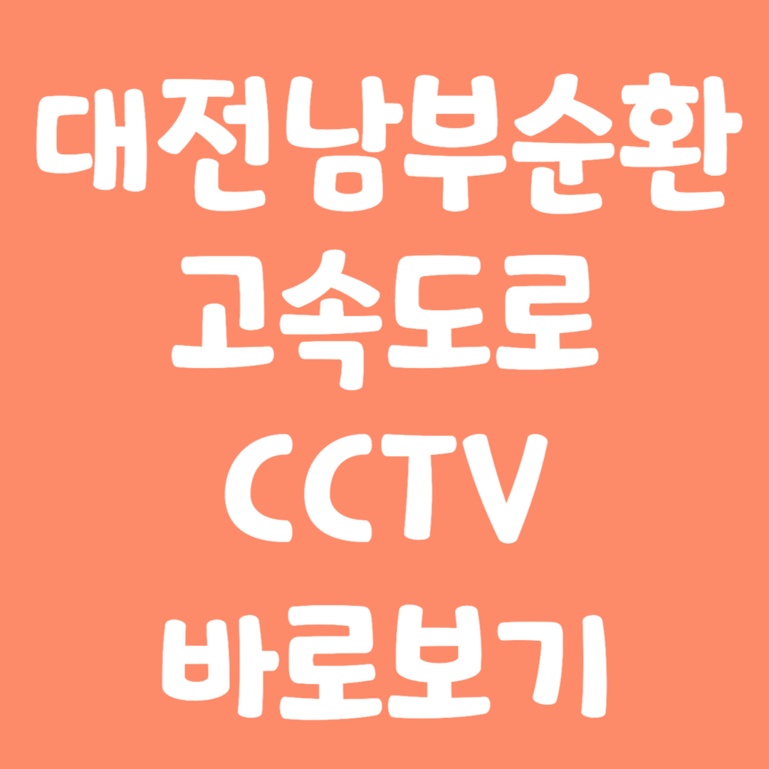 실시간 대전남부순환 고속도로 CCTV 바로보기