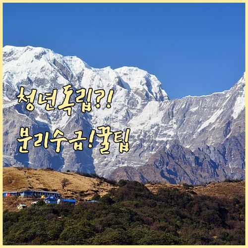 청년 주거급여 분리 수급 필수 서류와..