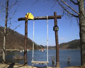 문광저수지 은행나무길_23