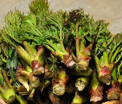 두릅 데치는 시간