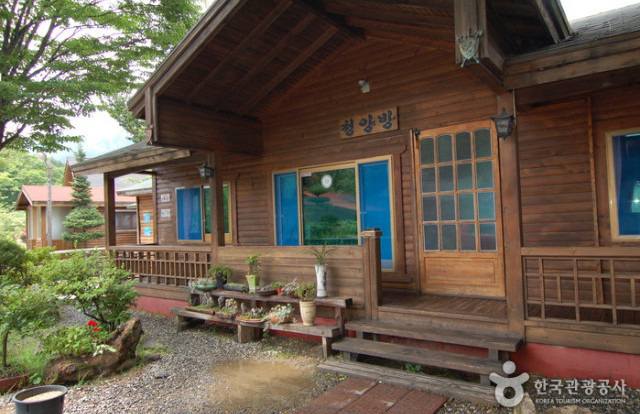 대둔산 자연휴양림 캠핑장