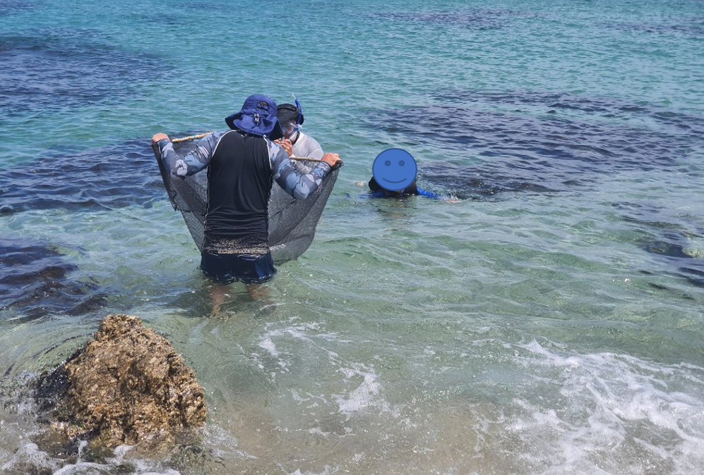 바다 반도 낙시