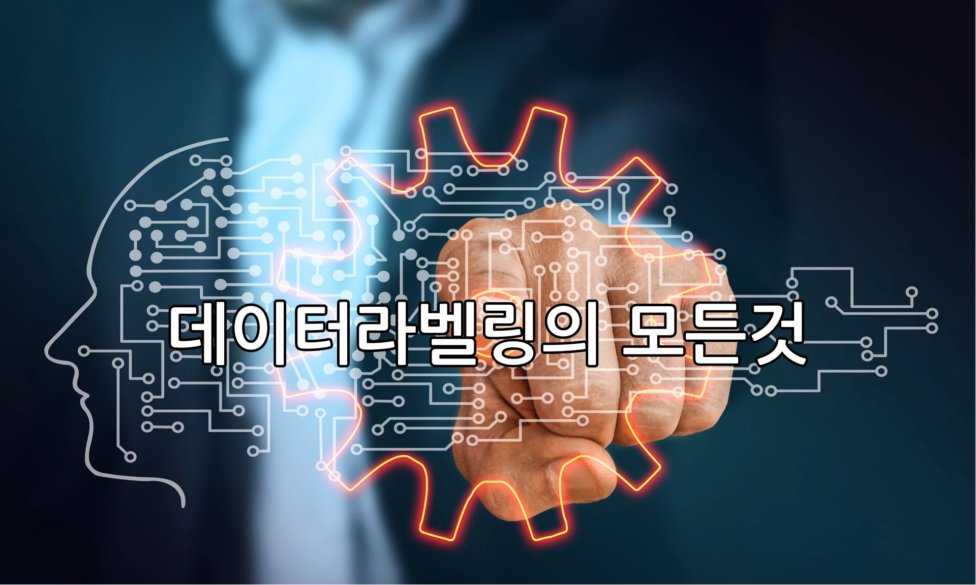 데이터 라벨링의 모든것