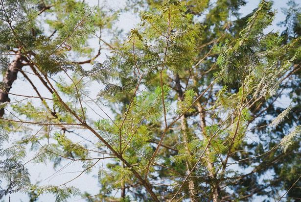 서울 창포원 가는 길 ▶▶ (주차 정보 대중교통 안내)