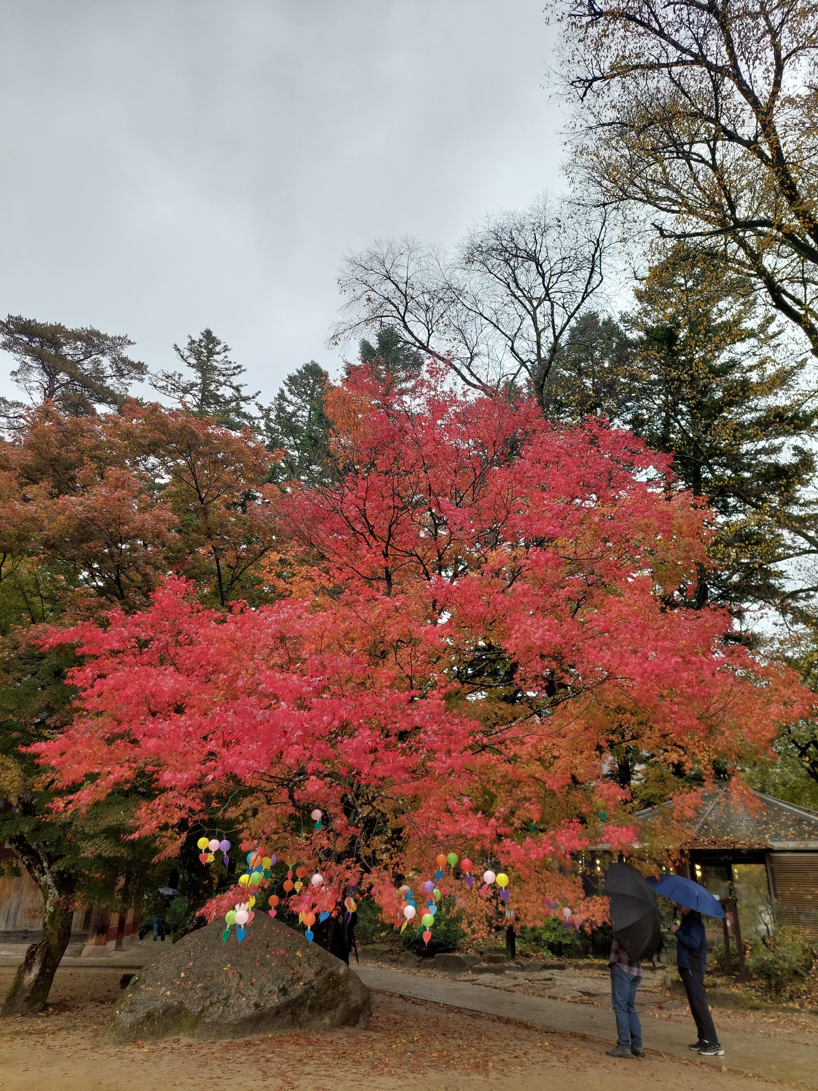 선재길