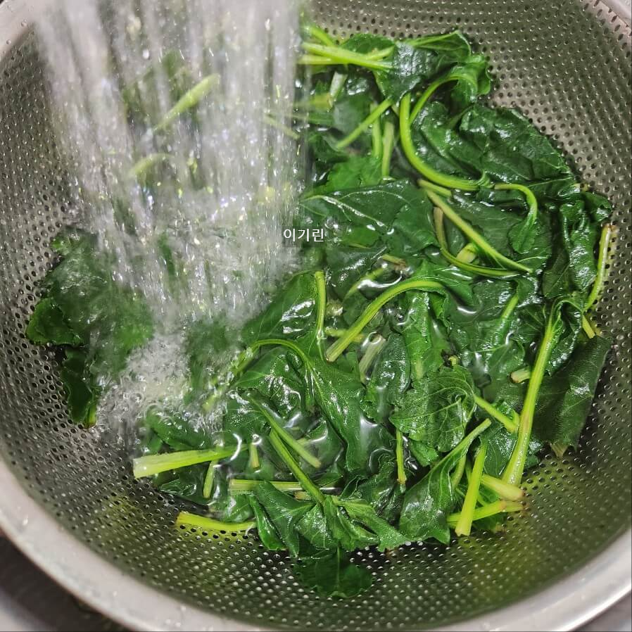 봄제철 취나물 손질 영양만점 취나물 무침 만드는 법 제철 나물