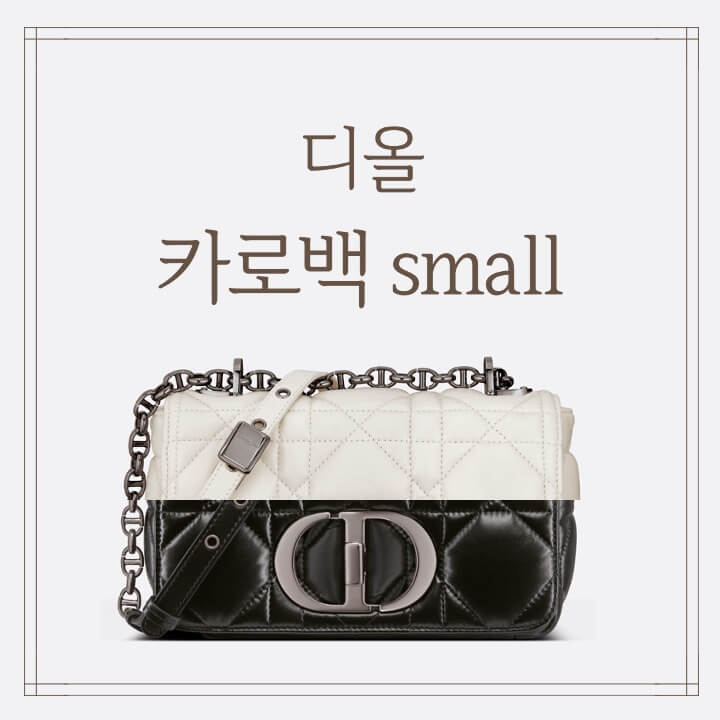 디올 카로 스몰 이미지 (1)